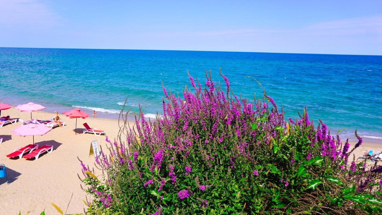 Byala Vista Beach Apartments D - Бяла Виста Бийч Апартментс Д Extérieur photo